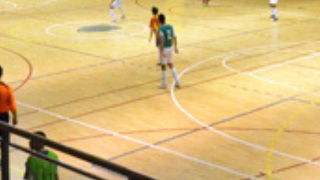Pavelló Municipal d'esports de Manlleu
